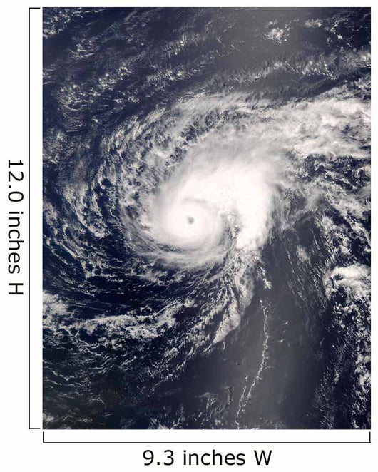 Hurricane Bertha Mid-Atlantic Ocean Wall Decal