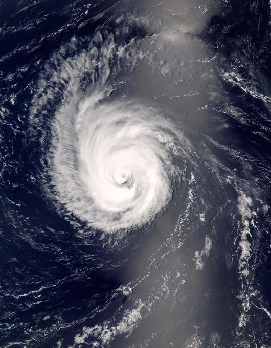 Hurricane Bertha Mid-Atlantic Ocean Wall Decal