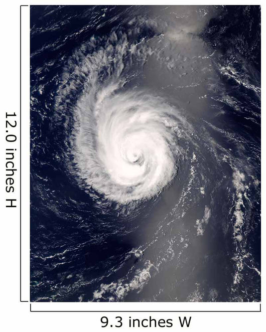 Hurricane Bertha Mid-Atlantic Ocean Wall Decal