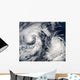Tropical Storms Boris and Wall Decal