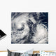 Tropical Storms Boris and Wall Decal