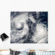 Tropical Storms Boris and Wall Decal