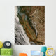 Fires California Wall Decal