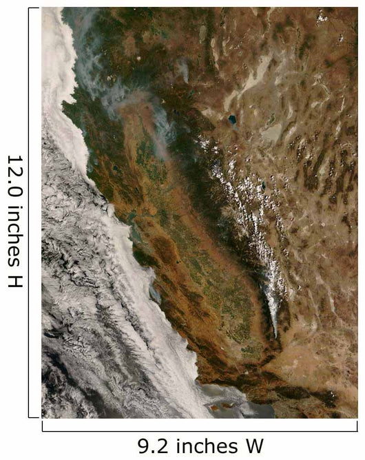 Fires California Wall Decal