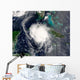 Hurricane Charley Wall Decal Design 1