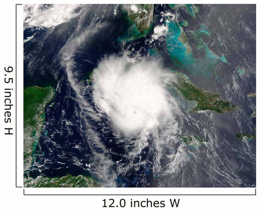 Hurricane Charley Wall Decal Design 1