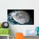 Frozen Continent Antarctica and Wall Decal