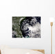 Tropical Storm Edouard Wall Decal Design 3