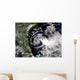 Tropical Storm Edouard Wall Decal Design 3