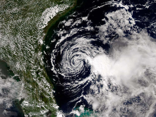 Tropical Storm Edouard Wall Decal Design 3