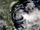 Tropical Storm Edouard Wall Decal Design 3