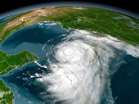 Hurricane Dennis Wall Decal Design 1