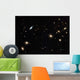 Coma Cluster Galaxies Wall Decal