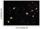 Coma Cluster Galaxies Wall Decal