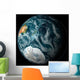 Full Earth Highlighting Antarctica Wall Decal