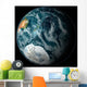 Full Earth Highlighting Antarctica Wall Decal