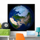 Full Earth Showing Arctic Wall Decal