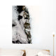 Meltwater Ponds along Greenland Wall Decal