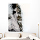 Meltwater Ponds along Greenland Wall Decal