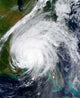 Hurricane Ivan Wall Decal