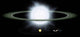 Hypergiant Star to Our Wall Decal