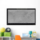 Global Map Saturn's Moon Wall Decal
