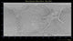 Global Map Saturn's Moon Wall Decal