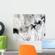 Plume from Okmok Volcano Wall Decal Design 2