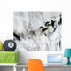 Plume from Okmok Volcano Wall Decal Design 1