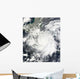 Tropical Storm Alma Wall Decal