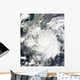 Tropical Storm Alma Wall Decal
