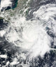 Tropical Storm Alma Wall Decal