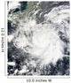 Tropical Storm Alma Wall Decal