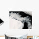 Sea Ice Southern Ocean Wall Decal