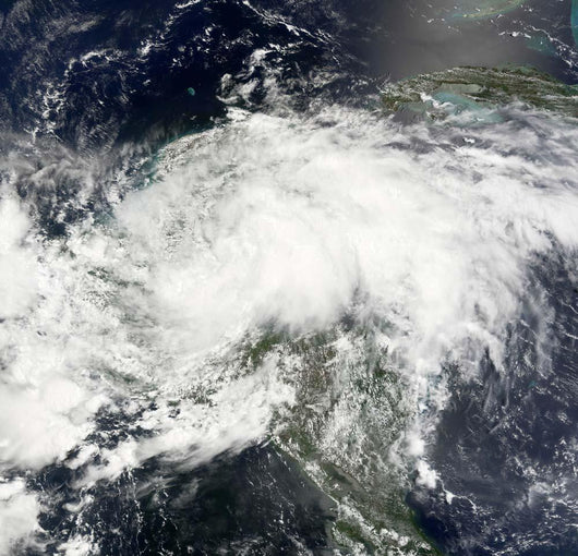 Tropical Storm Arthur Wall Decal