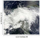 Tropical Storm Arthur Wall Decal