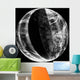Lunar Eclipse Wall Decal