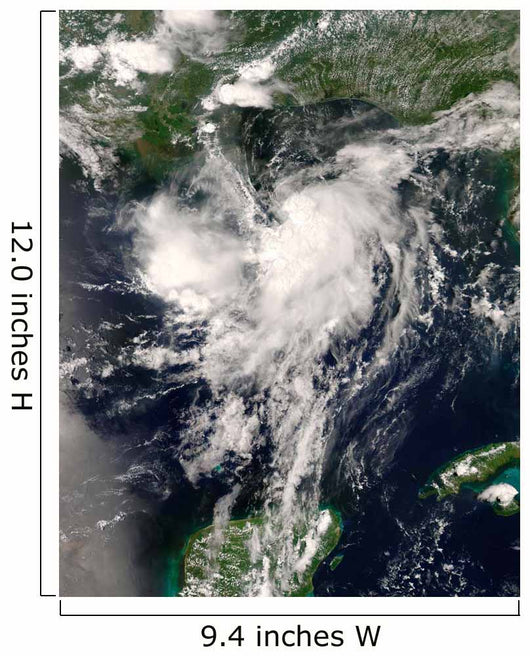 Tropical Storm Edouard Wall Decal Design 2