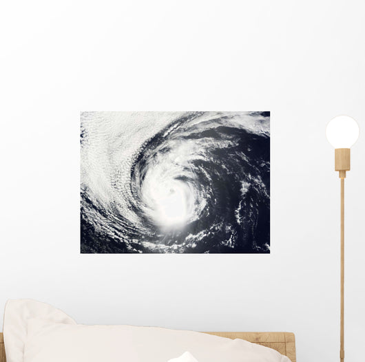 Hurricane Elida Wall Decal
