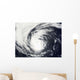 Hurricane Elida Wall Decal