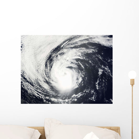 Hurricane Elida Wall Decal
