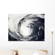 Hurricane Elida Wall Decal