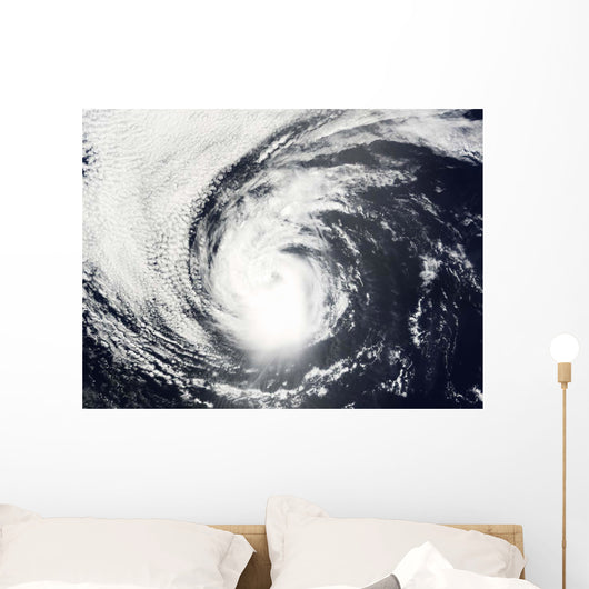 Hurricane Elida Wall Decal