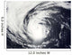 Hurricane Elida Wall Decal