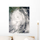 Typhoon Fung-Wong Wall Decal