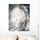 Typhoon Fung-Wong Wall Decal