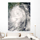 Typhoon Fung-Wong Wall Decal
