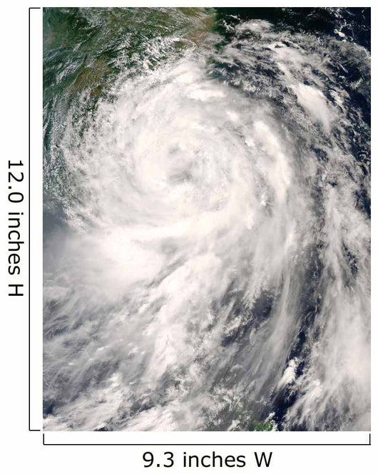 Typhoon Fung-Wong Wall Decal