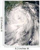 Typhoon Fung-Wong Wall Decal
