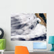 Glory over Pacific Ocean Wall Decal